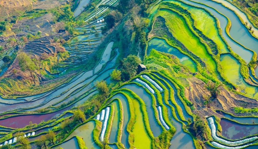 走进白山TVC拍摄：解锁本地化场景与创意镜头的完美融合